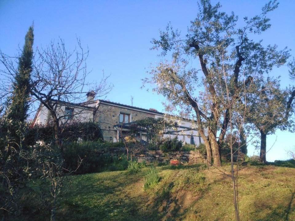 Alojamento de Turismo Rural Menghino